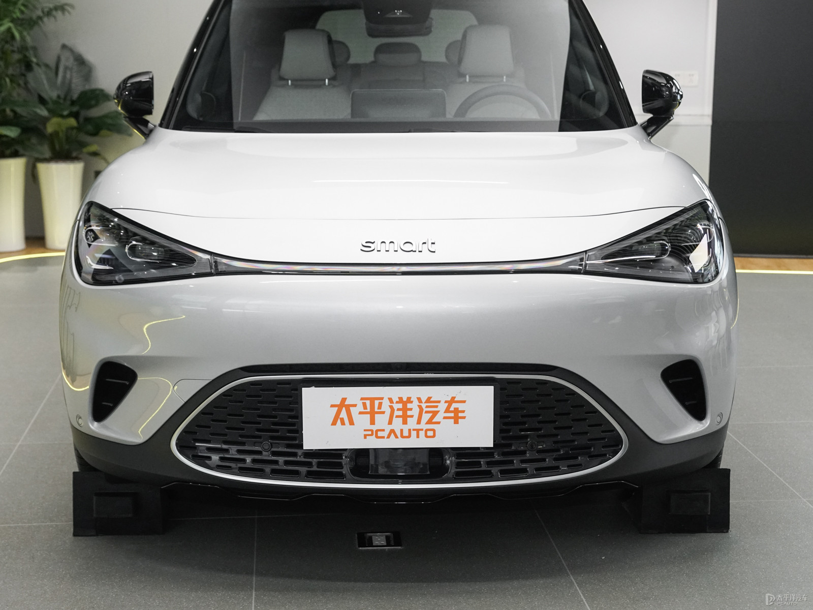 smart精靈#1外觀高清大圖