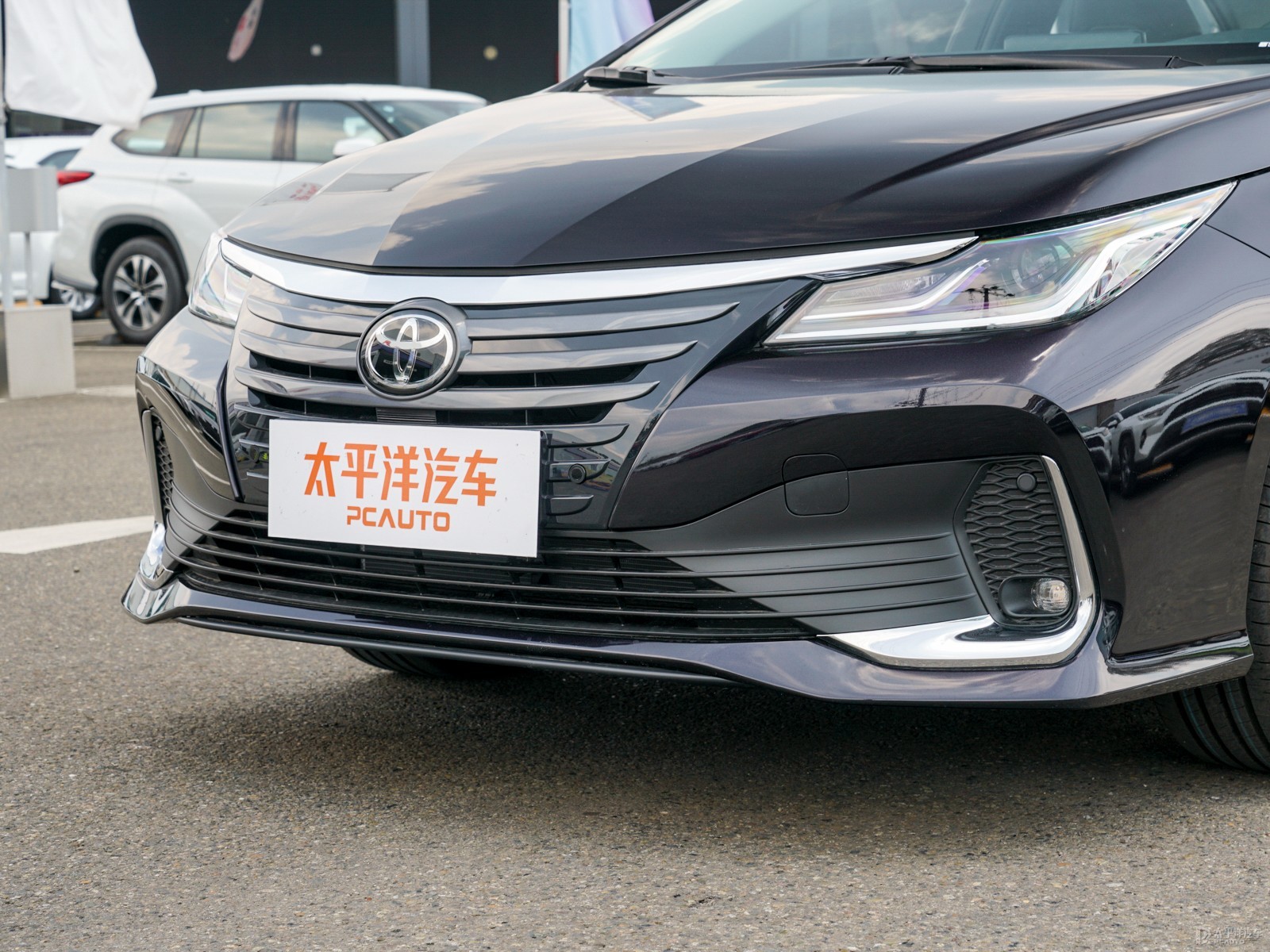 亞洲獅外觀高清大圖