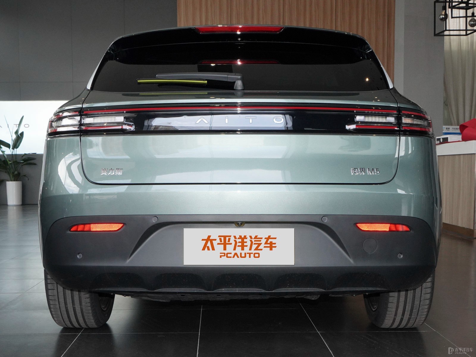 問界M5外觀高清大圖