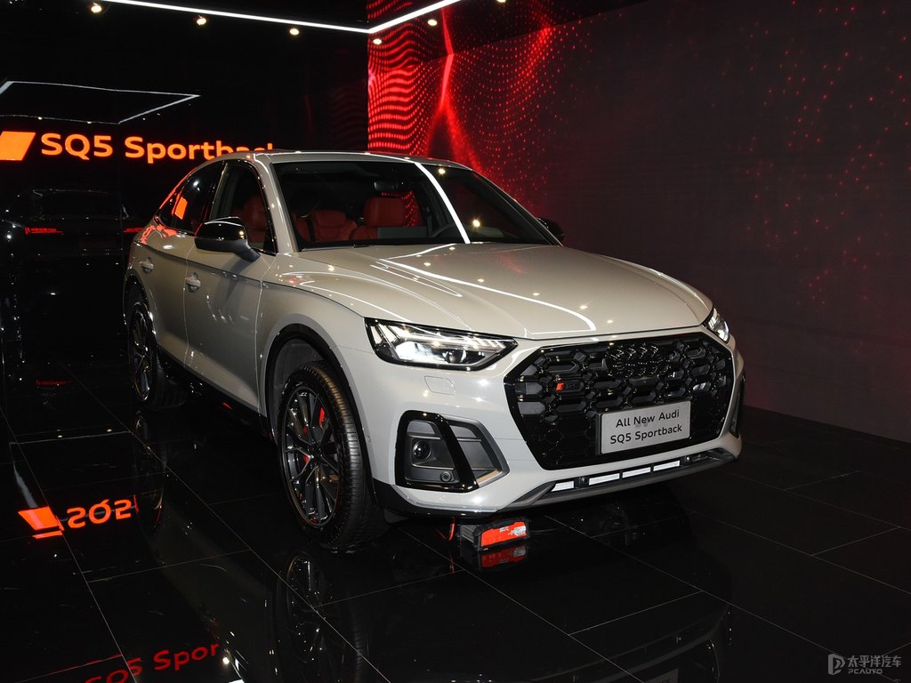 WSQ5 SportbackDƬ