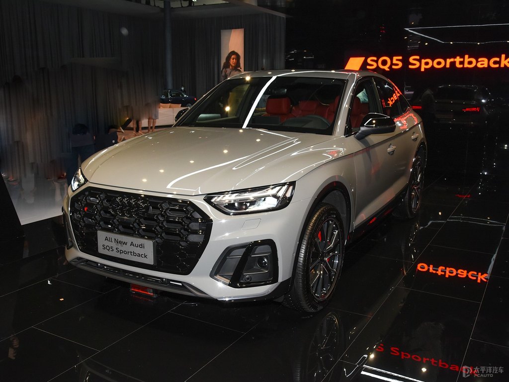 WSQ5 SportbackDƬ