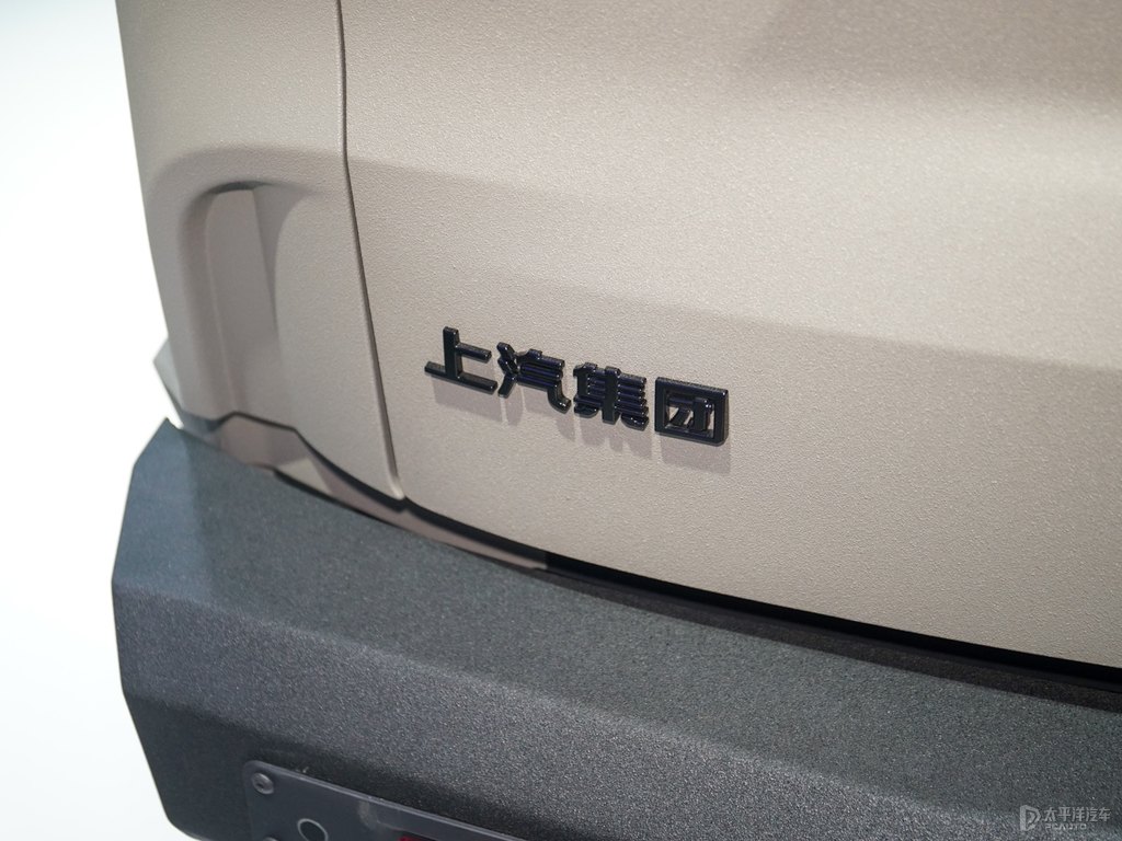 ͨMAXUS D90 ProDƬ