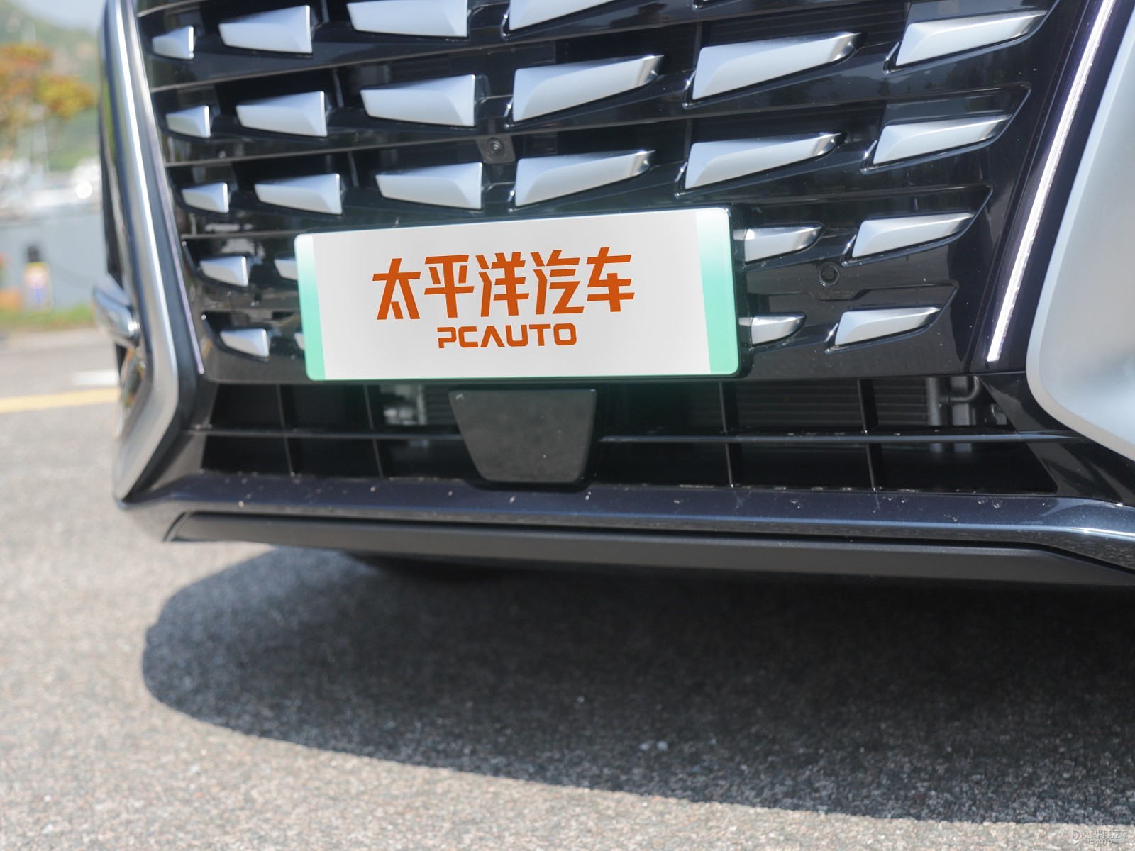 騰勢D9外觀高清大圖