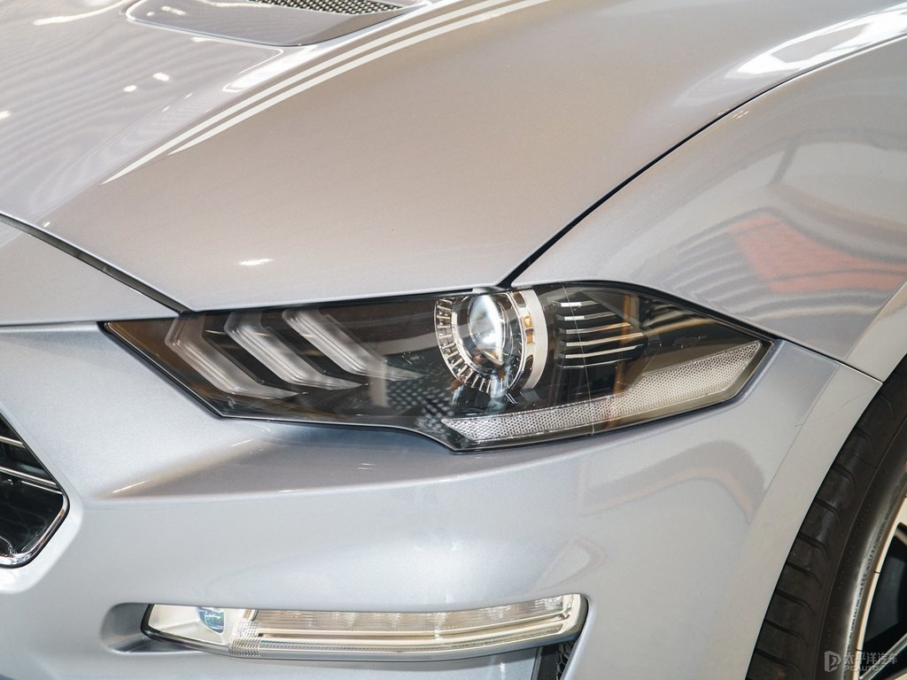 徺{(ln)Mustang܇^^DƬ