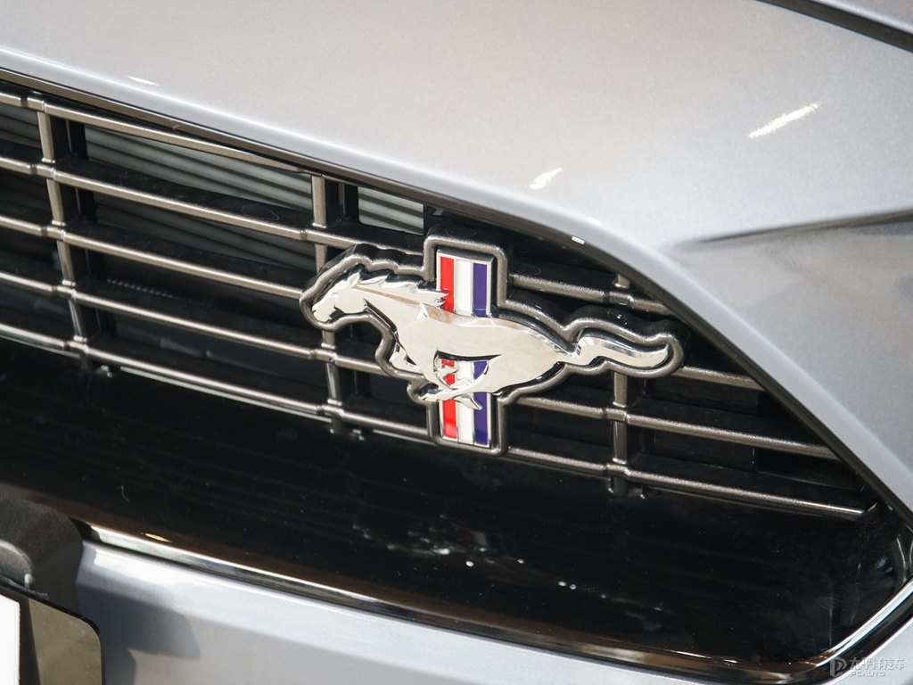徺{Mustang܇^^DƬ