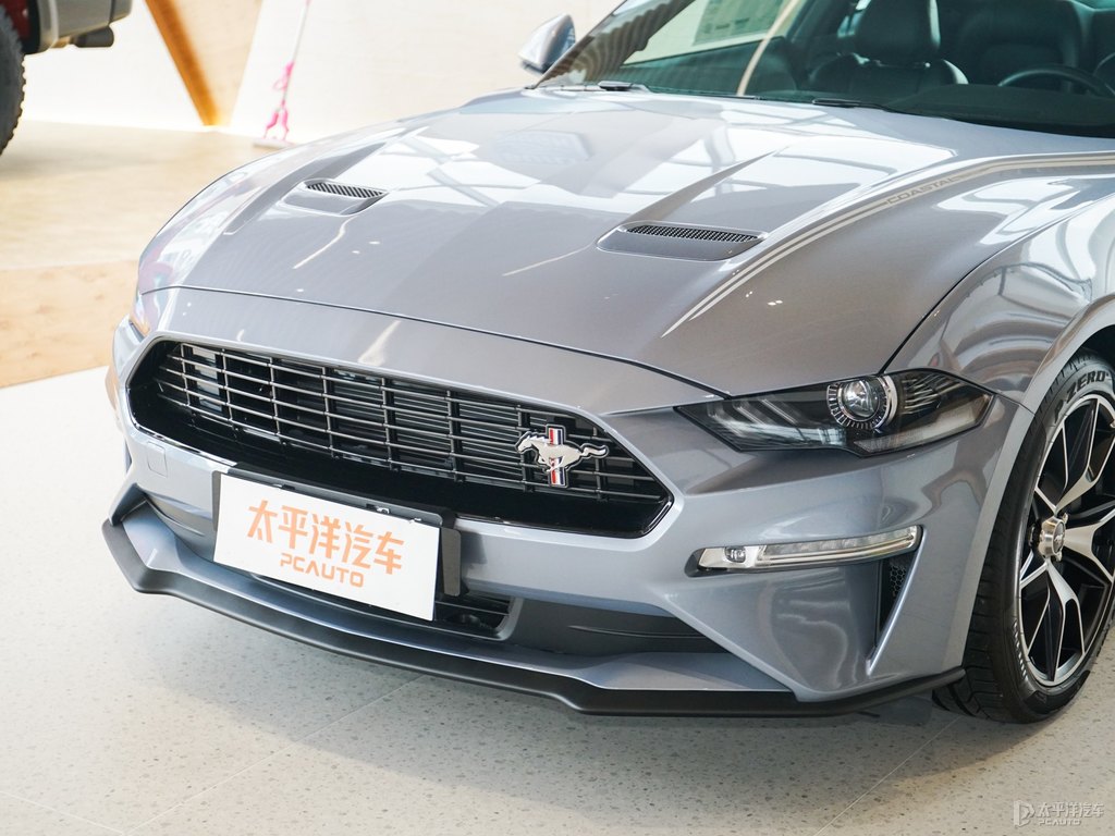 徺{Mustang܇^^DƬ