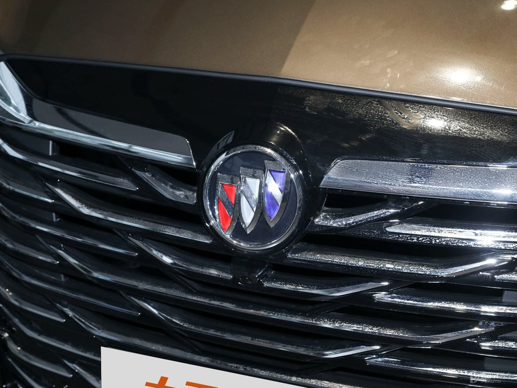 琥珀金別克GL8車頭外觀圖片