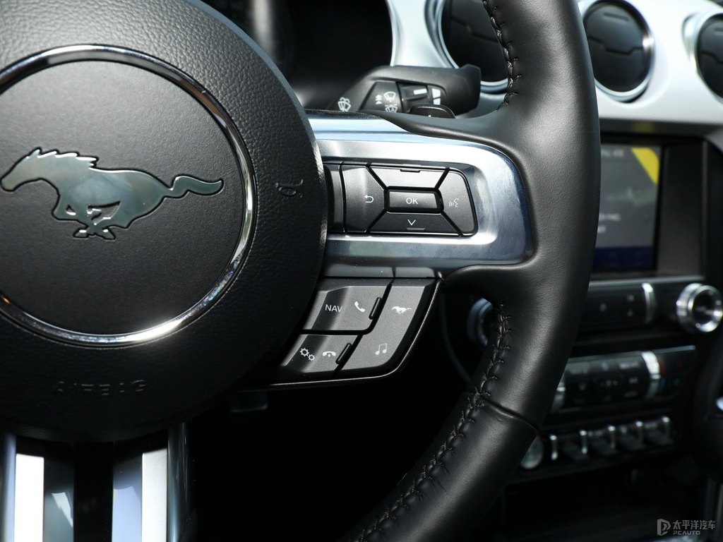 Ԫ׸Mustangп؃(ni)DƬ