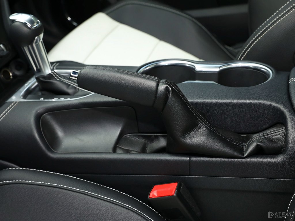 Ԫ׸Mustangп؃(ni)DƬ