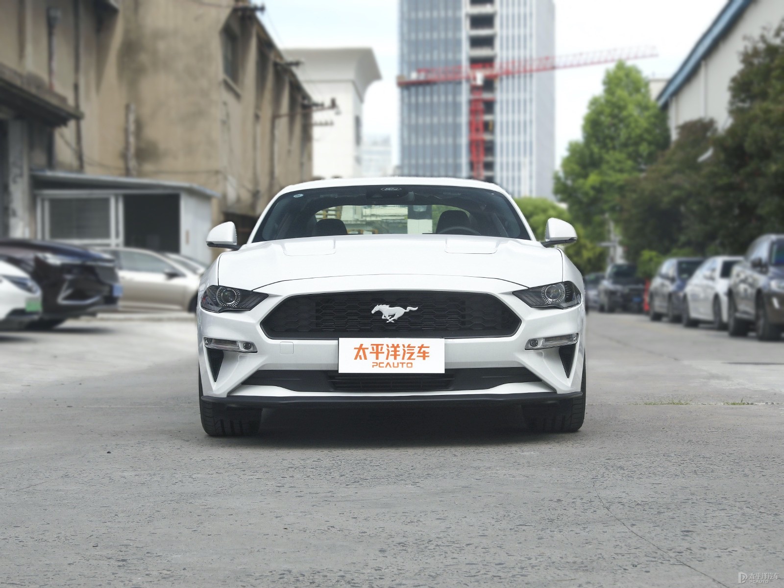 元光白福特Mustang整车外观外观图片