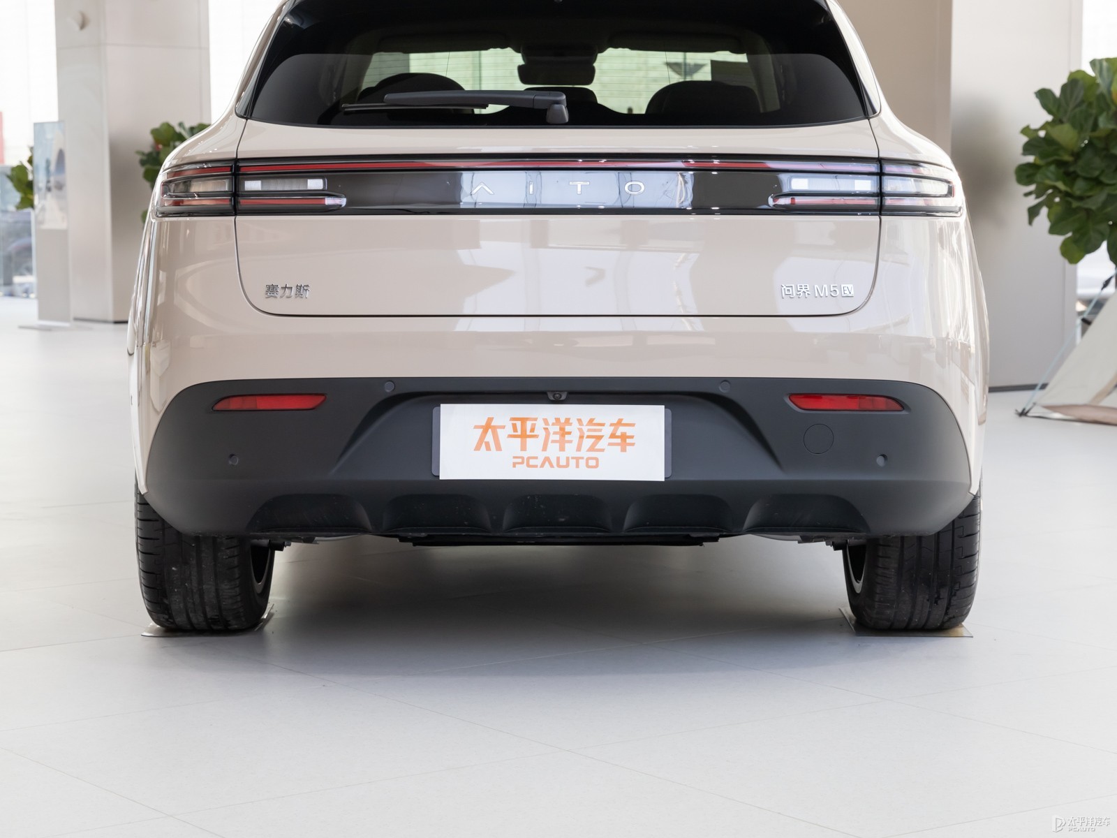 問界M5外觀高清大圖
