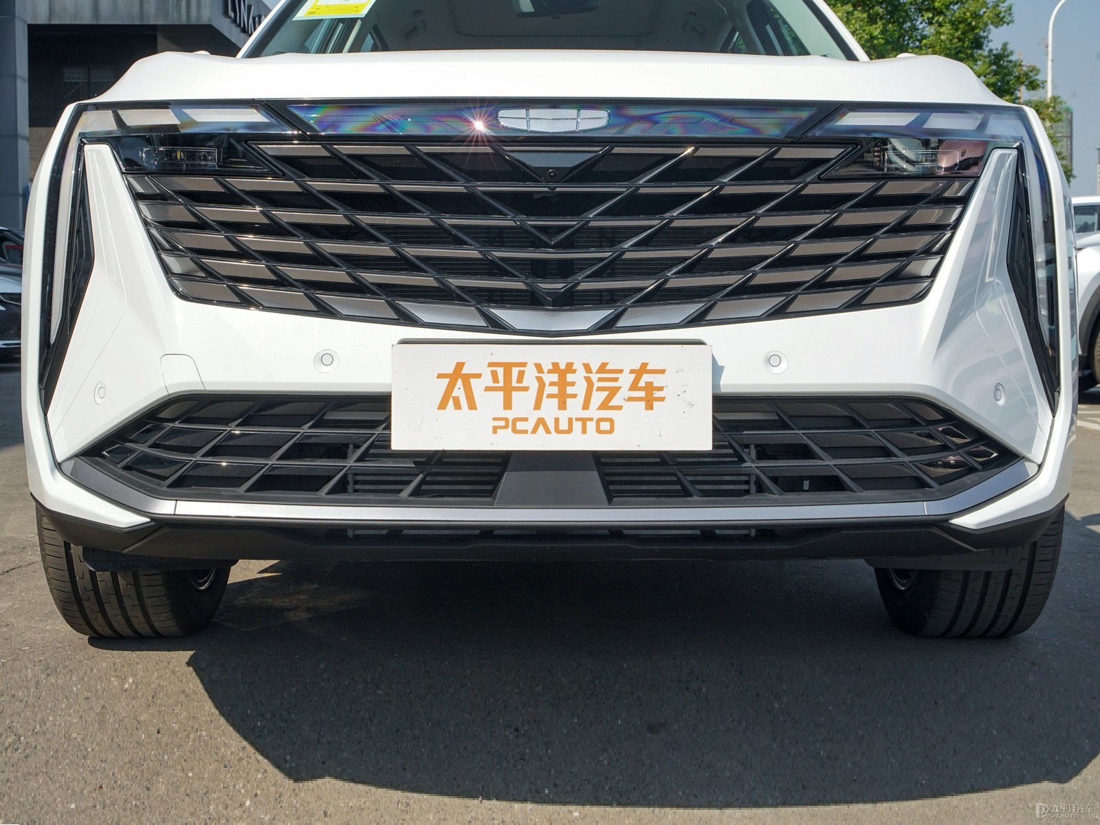 博越L外觀高清大圖
