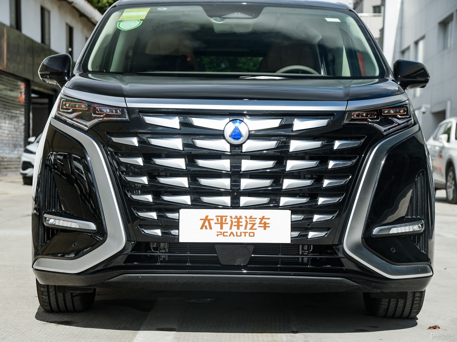 騰勢(shì)D9外觀高清大圖