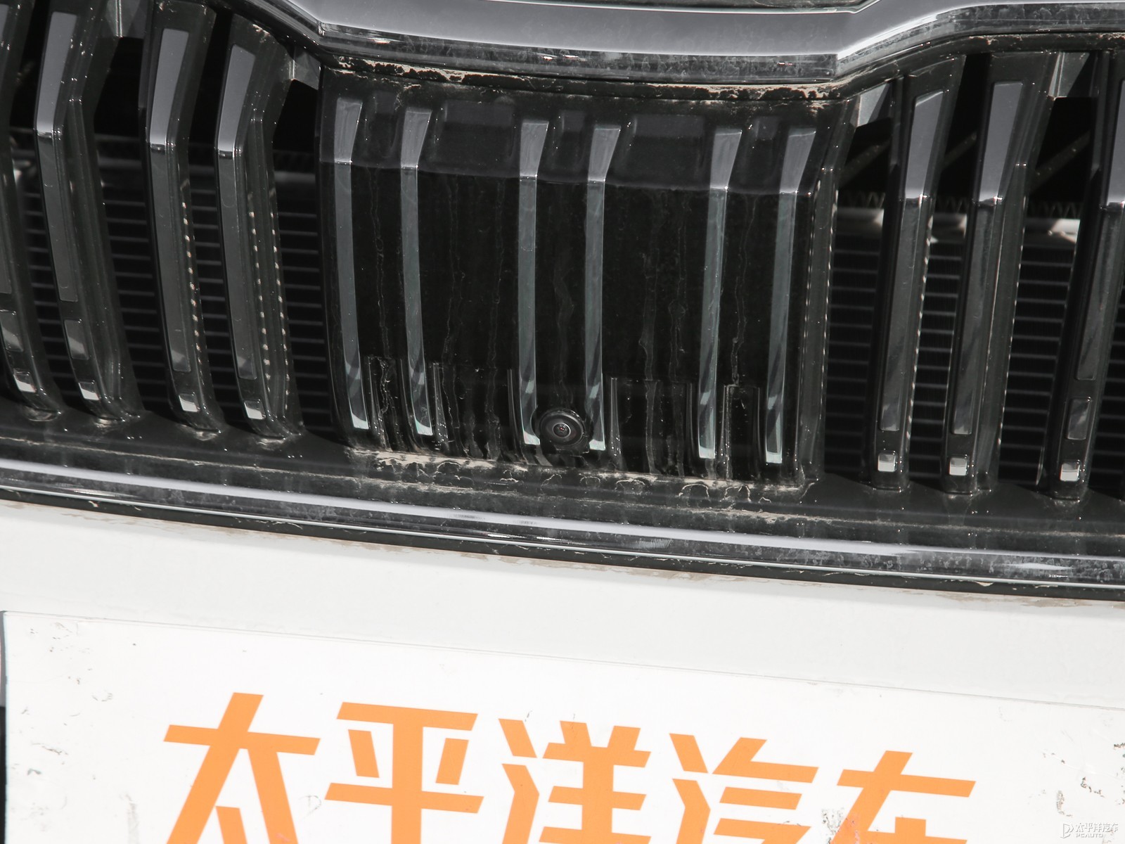 柯迪亞克外觀高清大圖