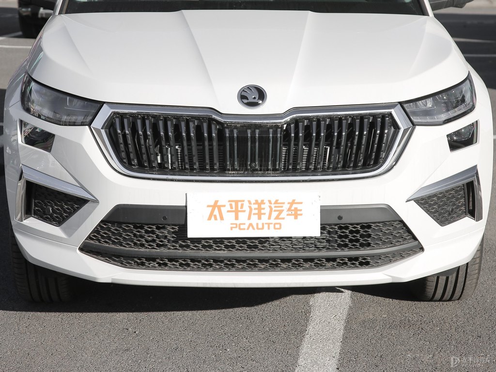 冰雪白柯迪亞克車頭外觀圖片