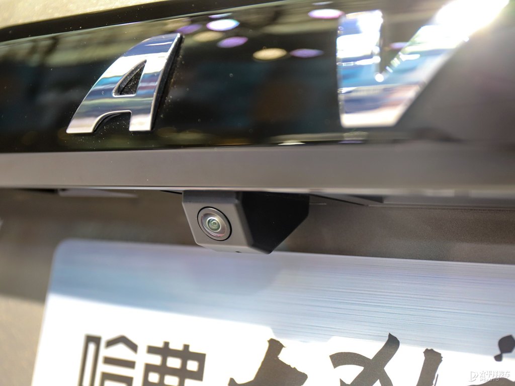 哈弗大狗圖片