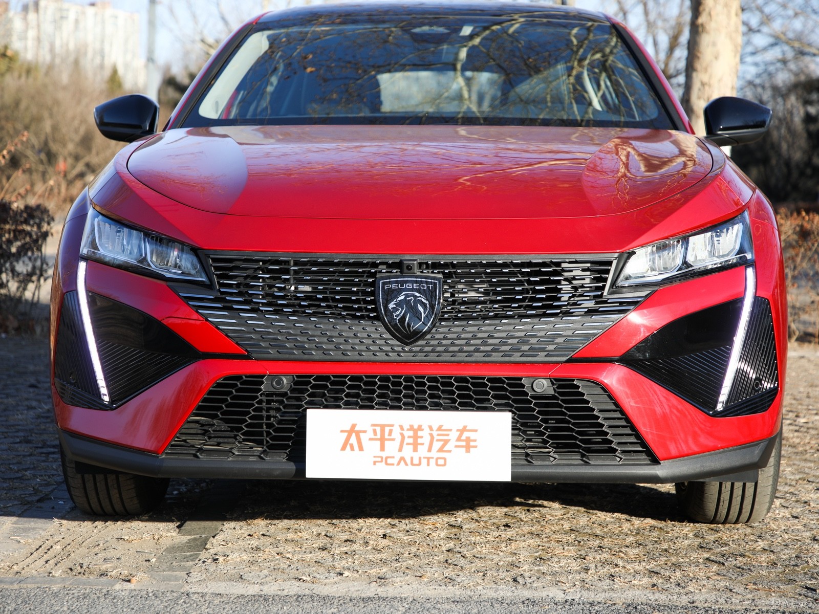 標致408X外觀高清大圖