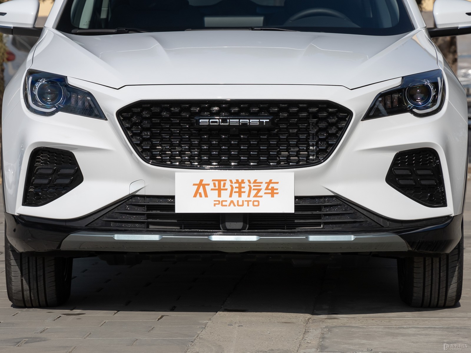 東南DX8S外觀高清大圖