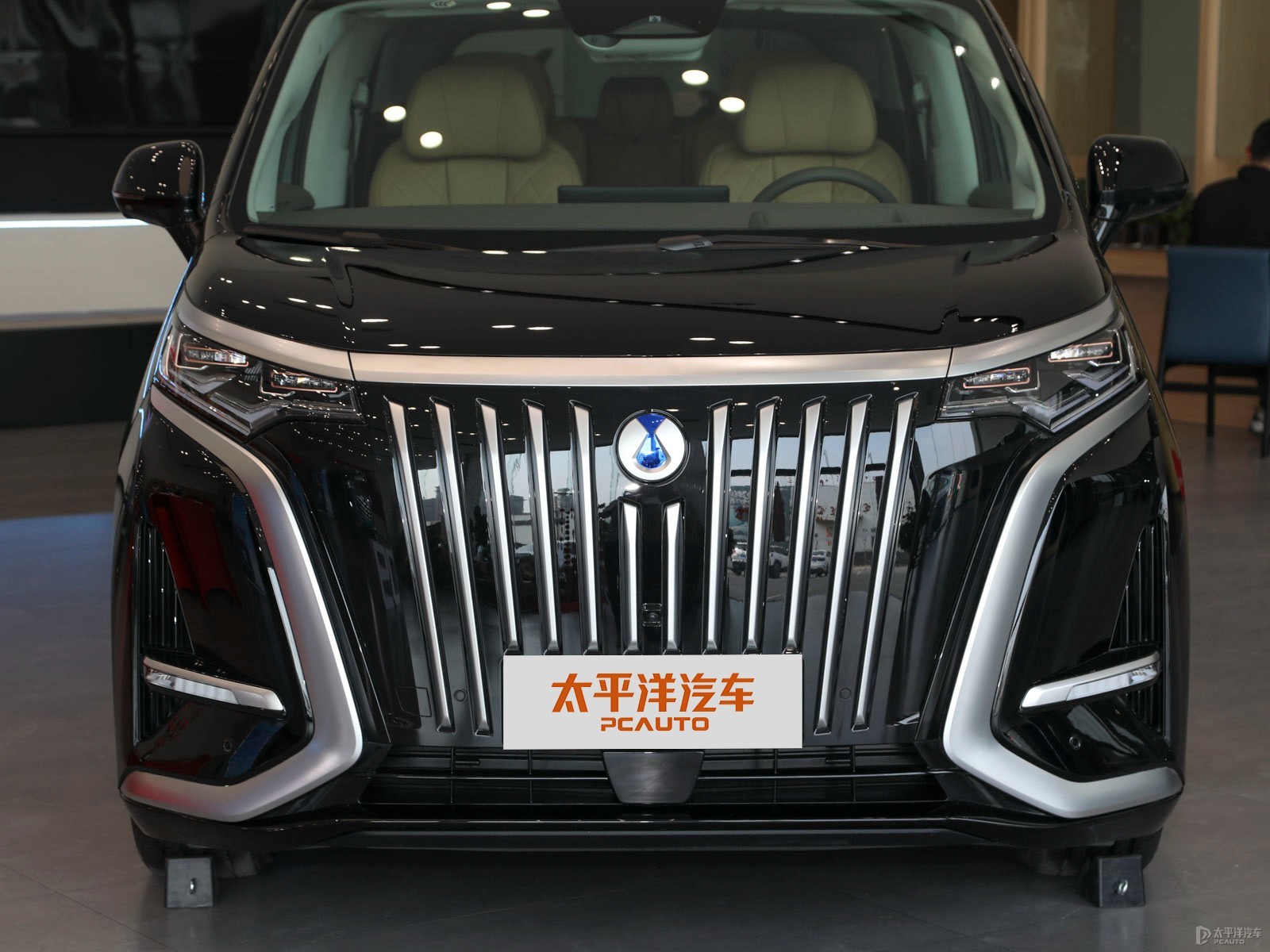 騰勢(shì)D9外觀高清大圖