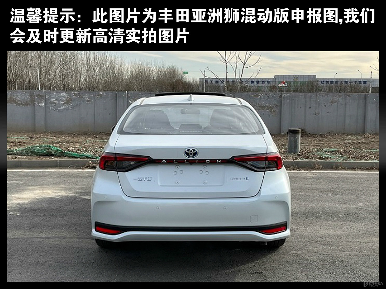 亞洲獅外觀高清大圖
