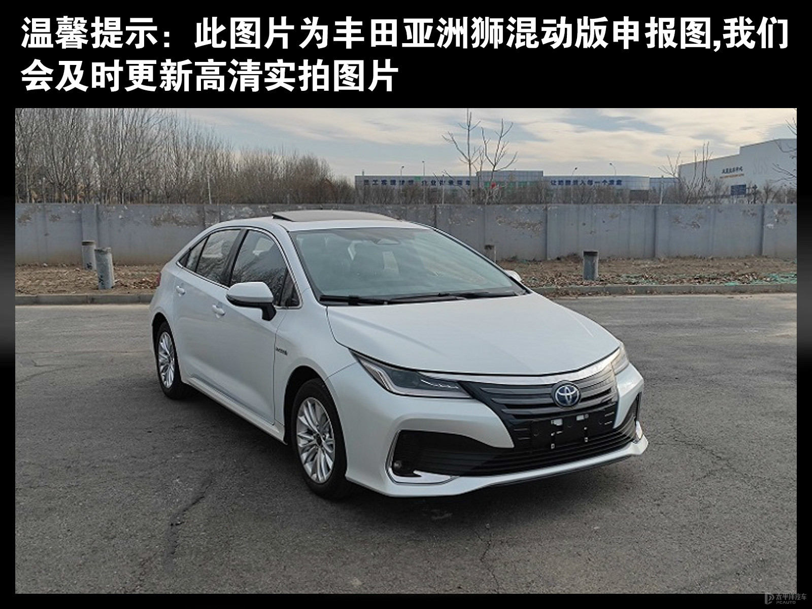 亞洲獅外觀高清大圖
