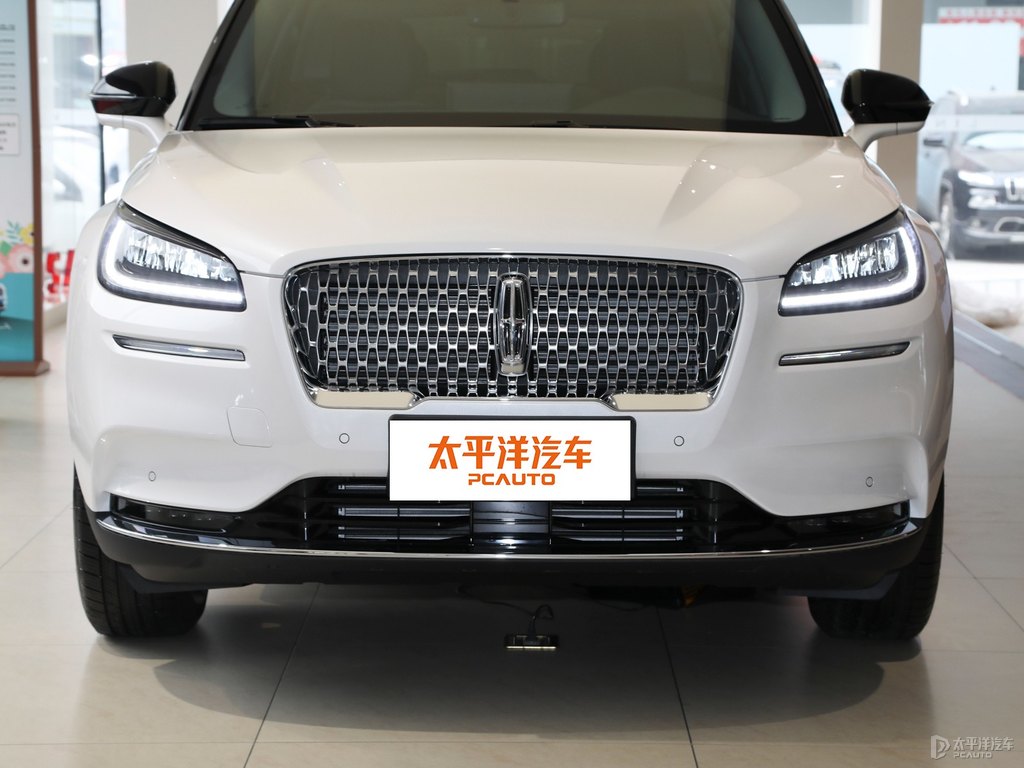 鉑鉆白冒險家車頭外觀圖片