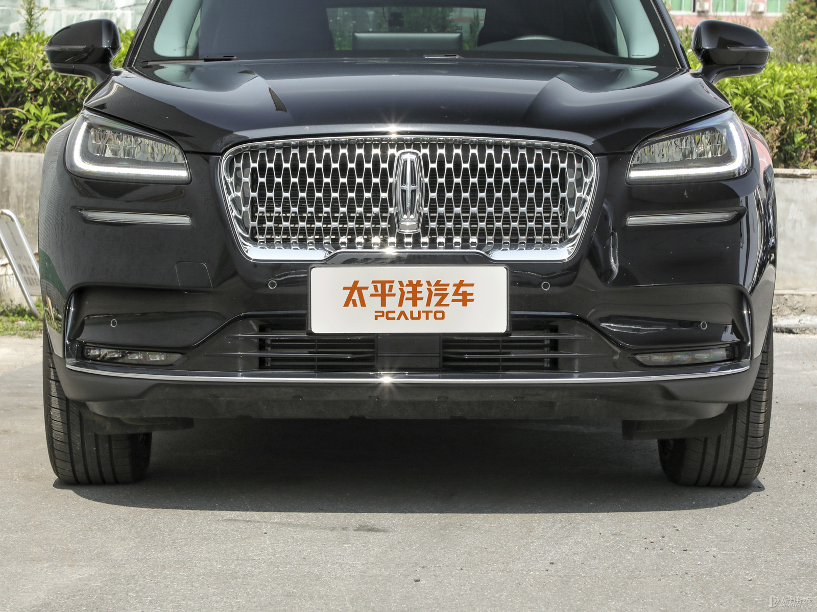 冒險(xiǎn)家外觀高清大圖