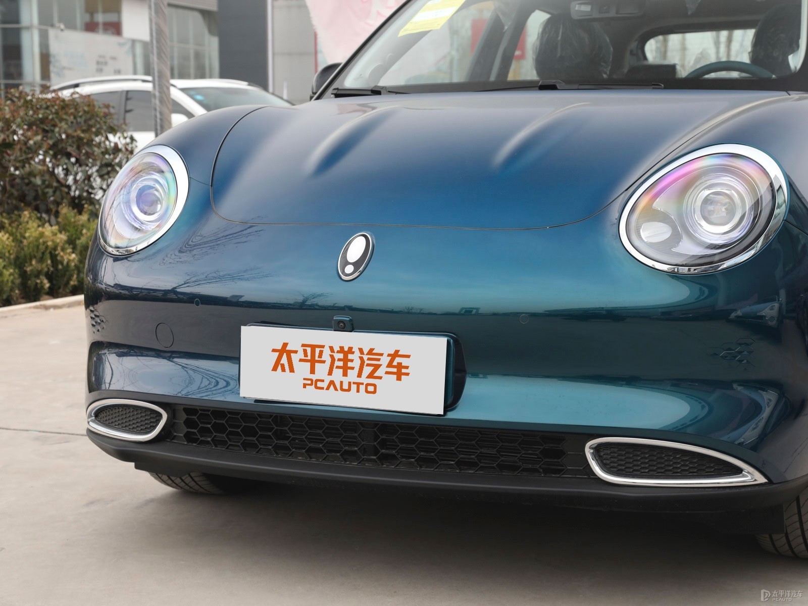歐拉好貓外觀高清大圖