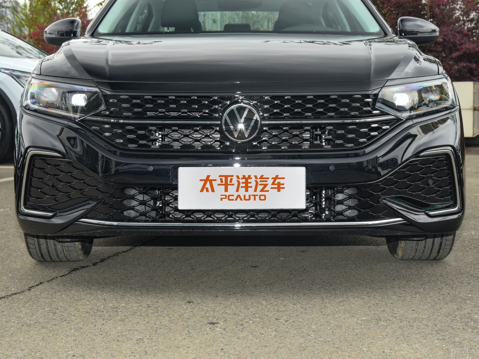 帕薩特外觀高清大圖