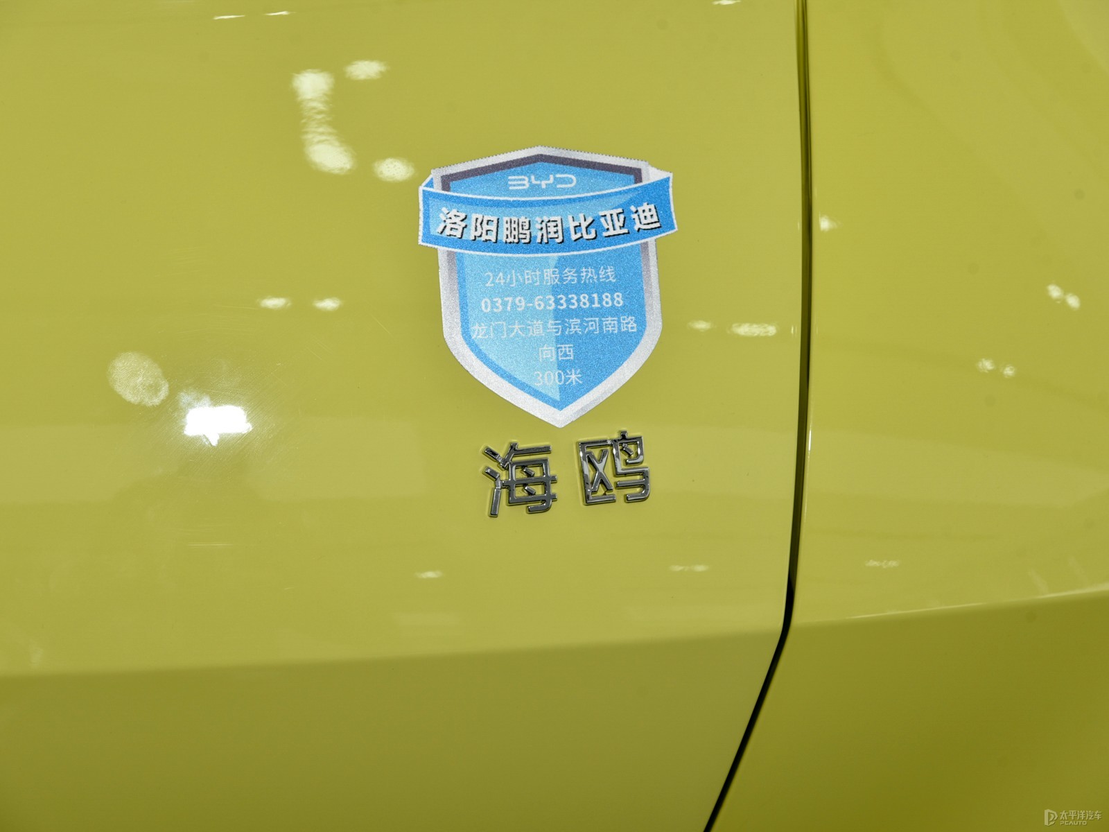 海鷗外觀高清大圖