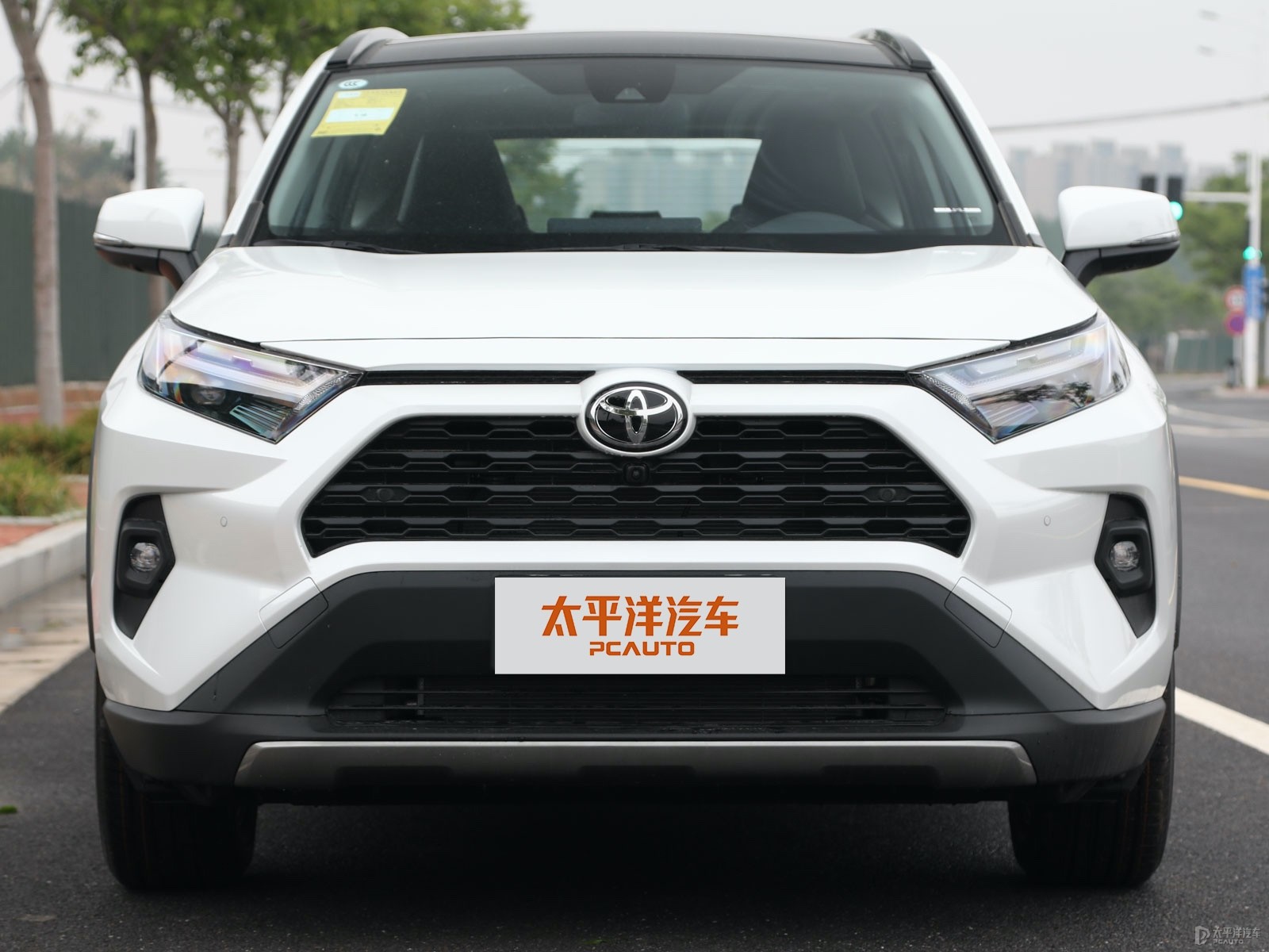 RAV4榮放外觀高清大圖