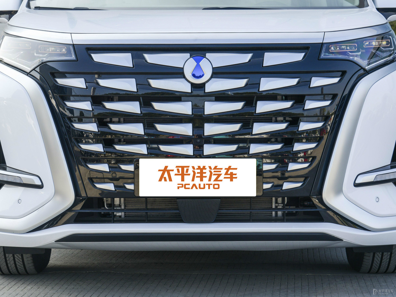 騰勢(shì)D9外觀高清大圖