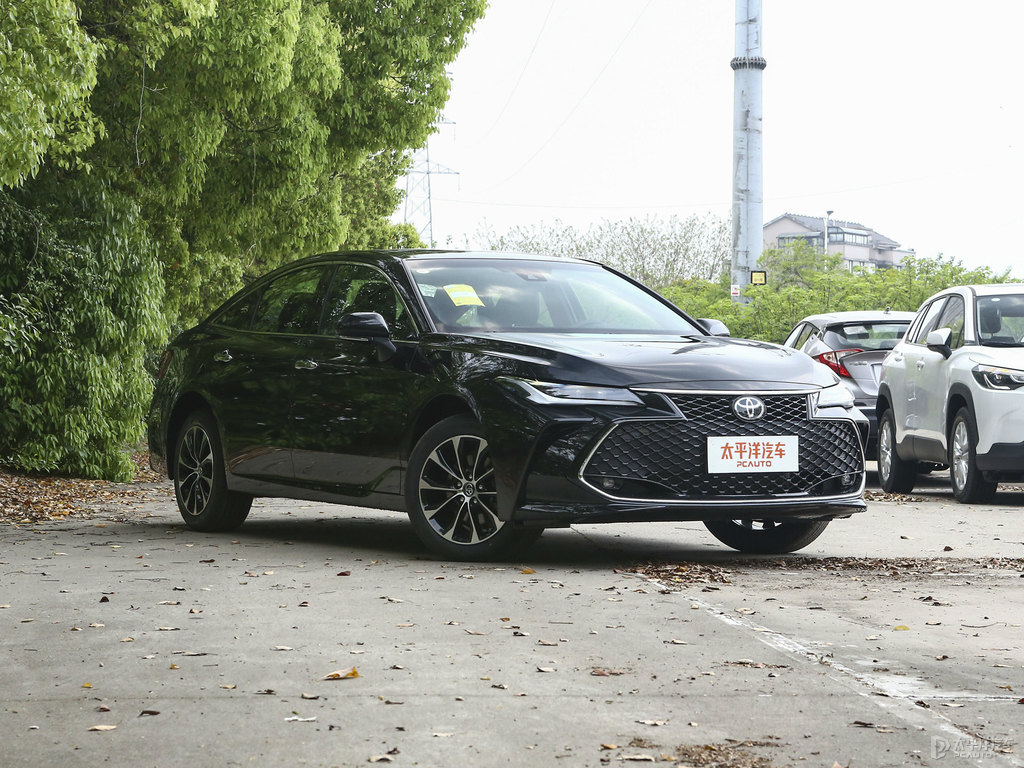 墨淵黑亞洲龍整車外觀外觀圖片