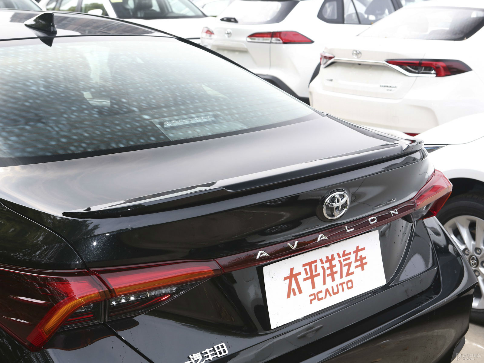 亞洲龍外觀高清大圖