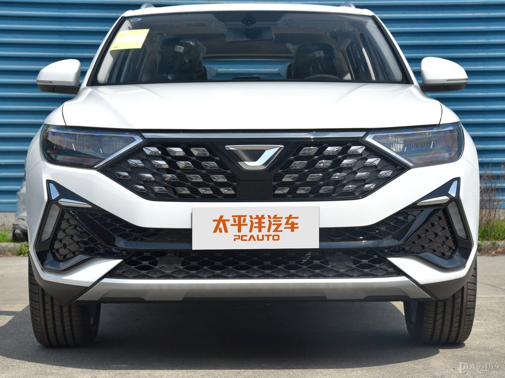 極地白捷達(dá)VS5車頭外觀圖片