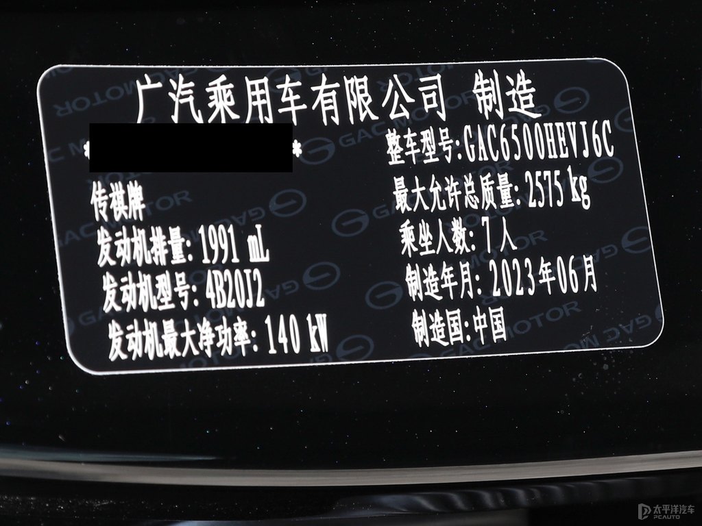 典雅黑傳祺GS8細(xì)節(jié)其它細(xì)節(jié)圖片