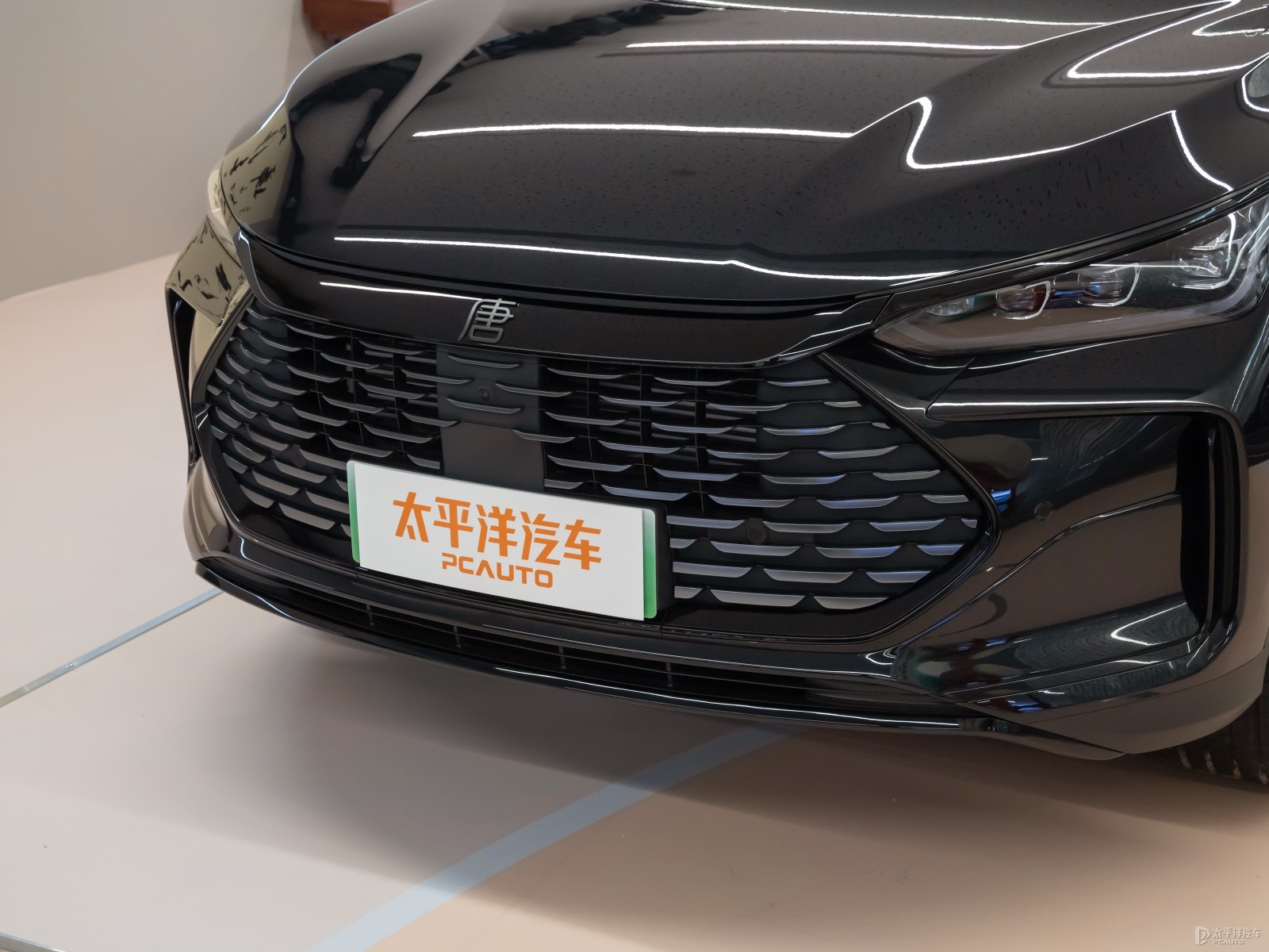 唐新能源外觀高清大圖