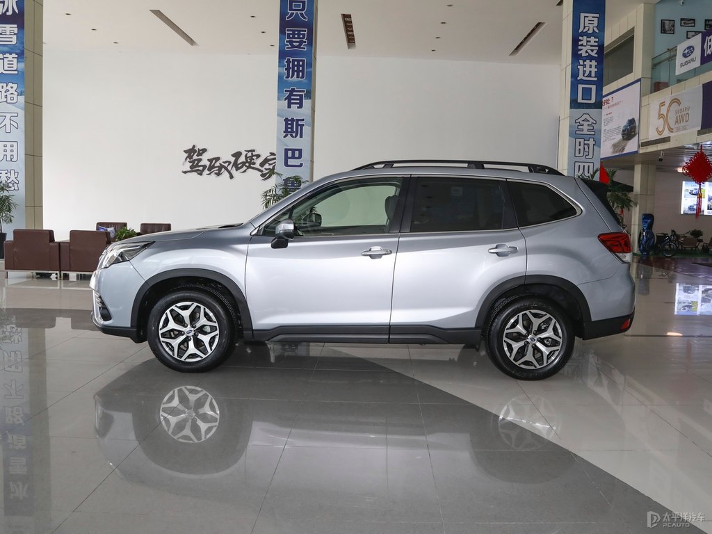 耀目寒冰銀森林人整車外觀外觀圖片