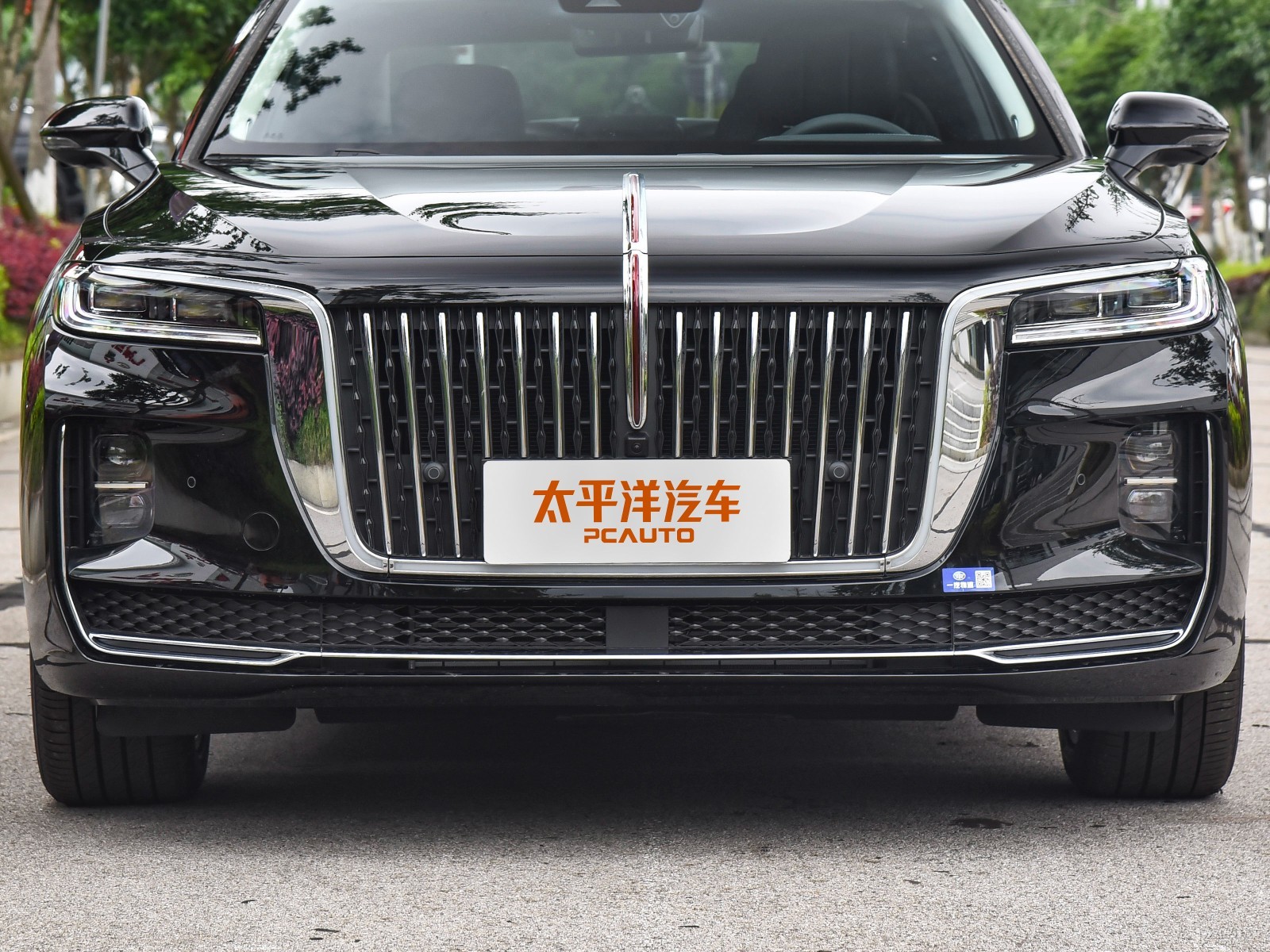 紅旗H9外觀高清大圖