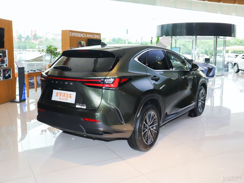 黛青云母色雷克薩斯NX整車外觀外觀圖片