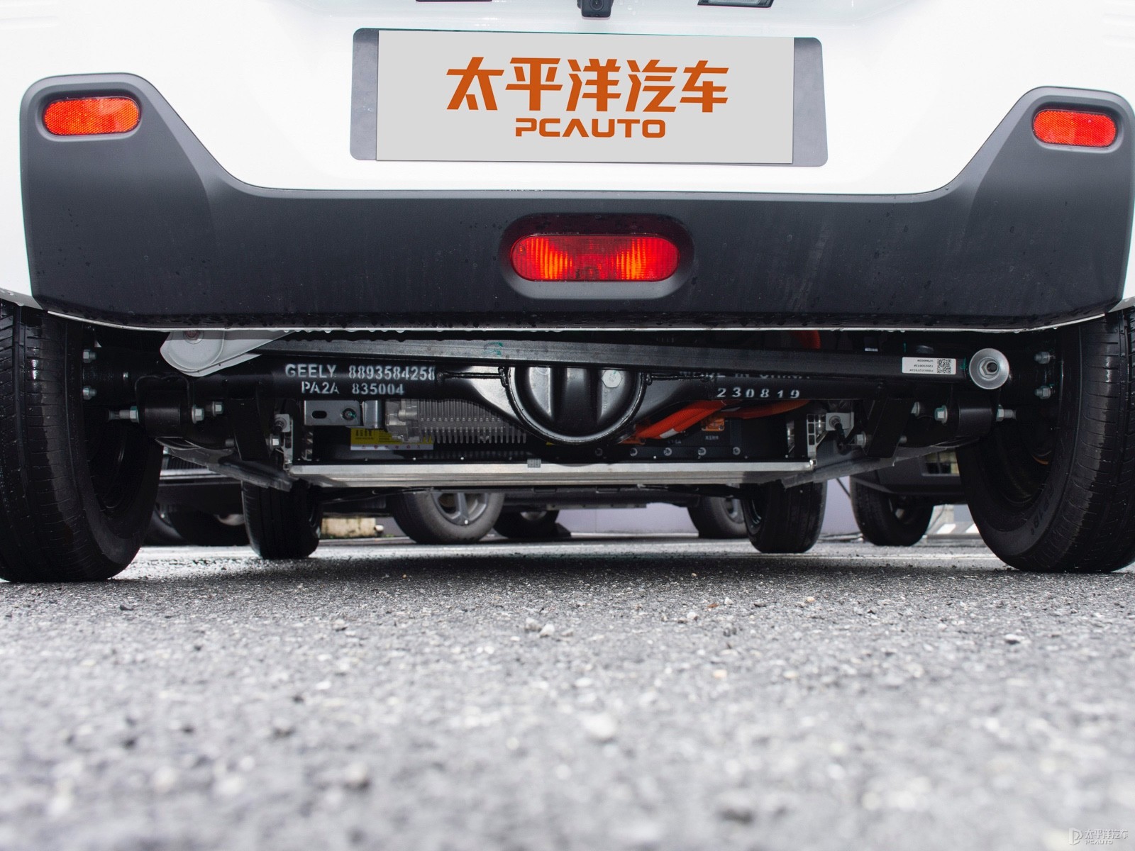 吉利熊貓細(xì)節(jié)高清大圖