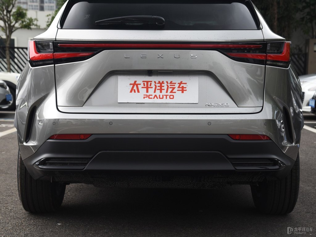 超音速鈦銀雷克薩斯NX車尾外觀圖片