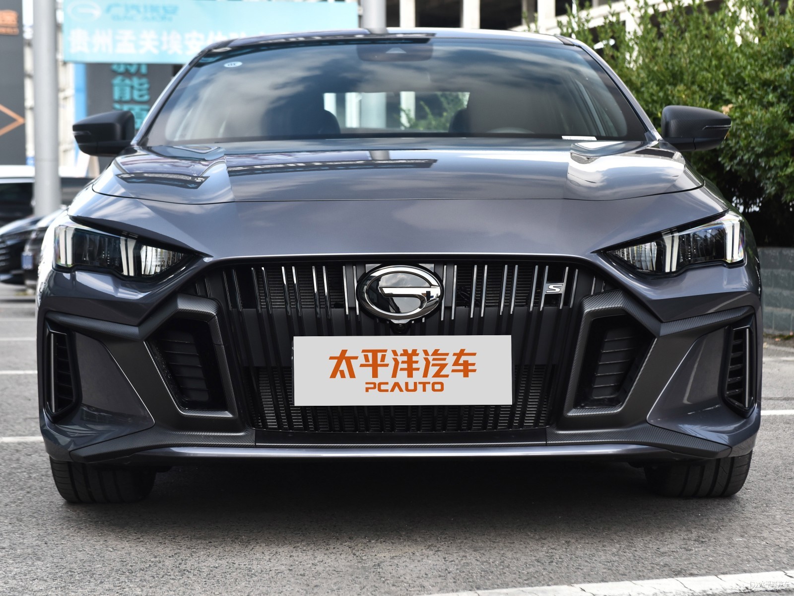 影豹外觀高清大圖