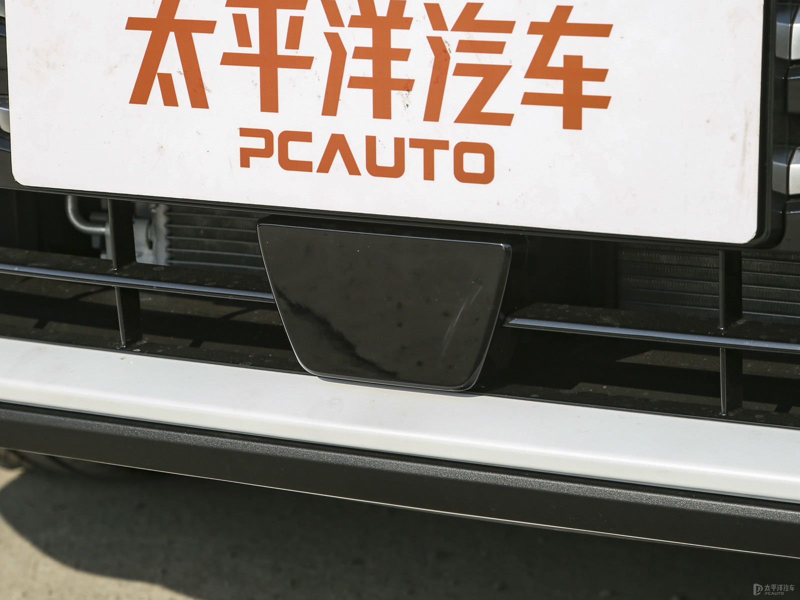 騰勢D9外觀高清大圖