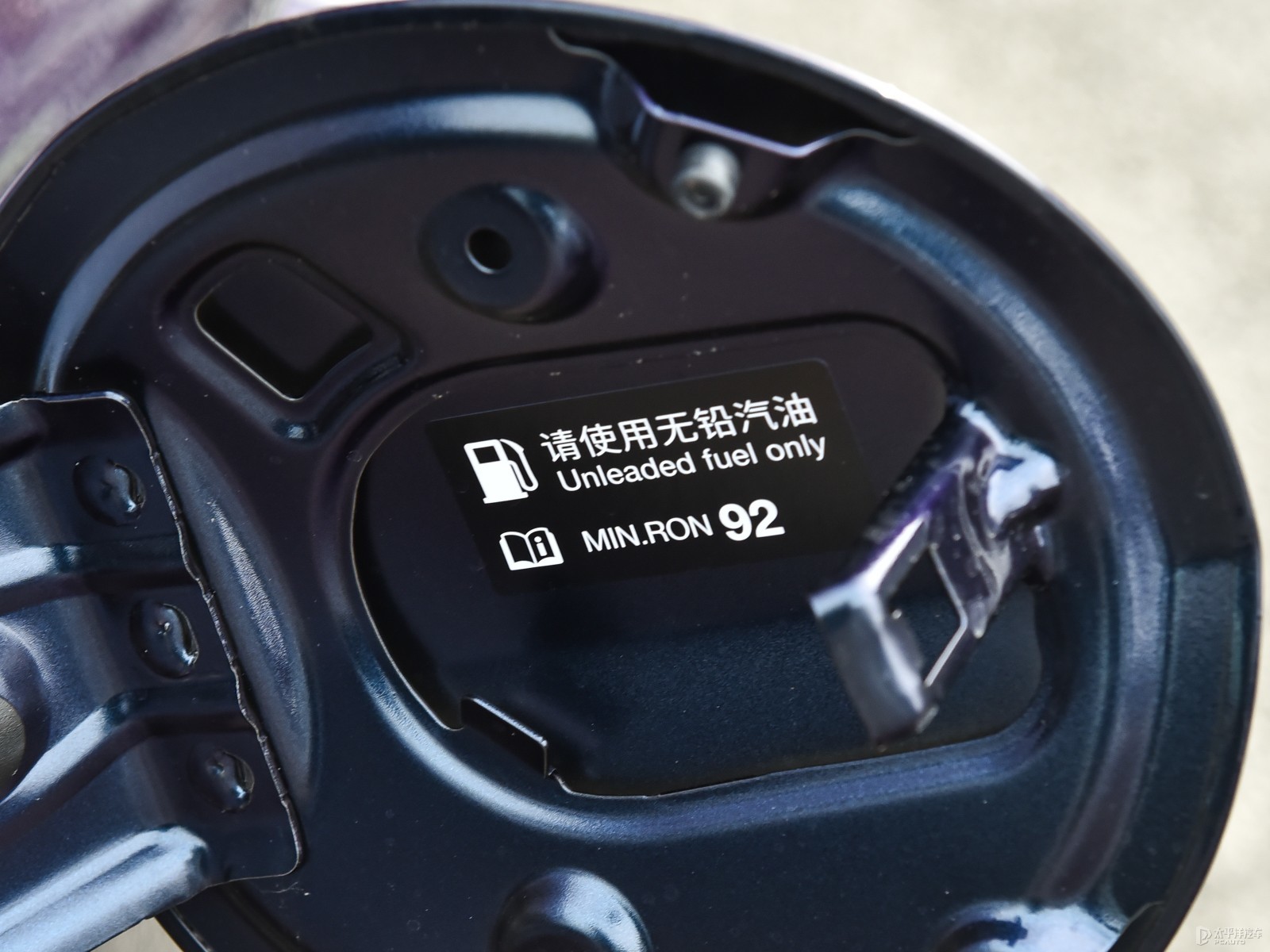 影豹細節(jié)高清大圖