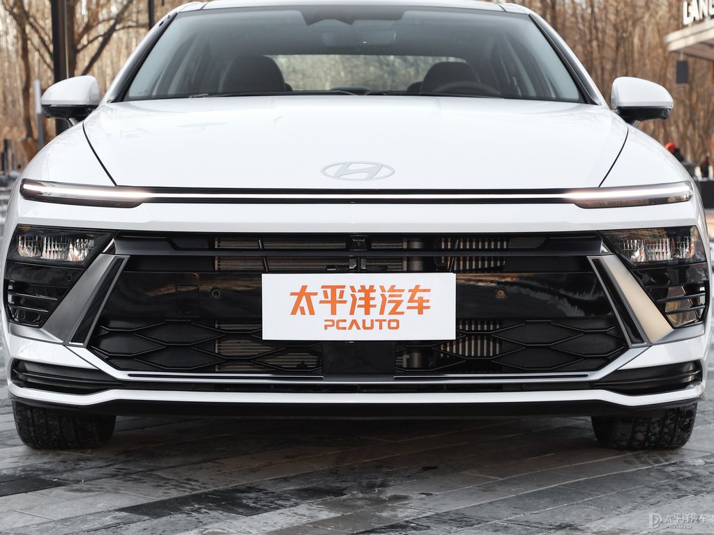 極地白索納塔車頭外觀圖片