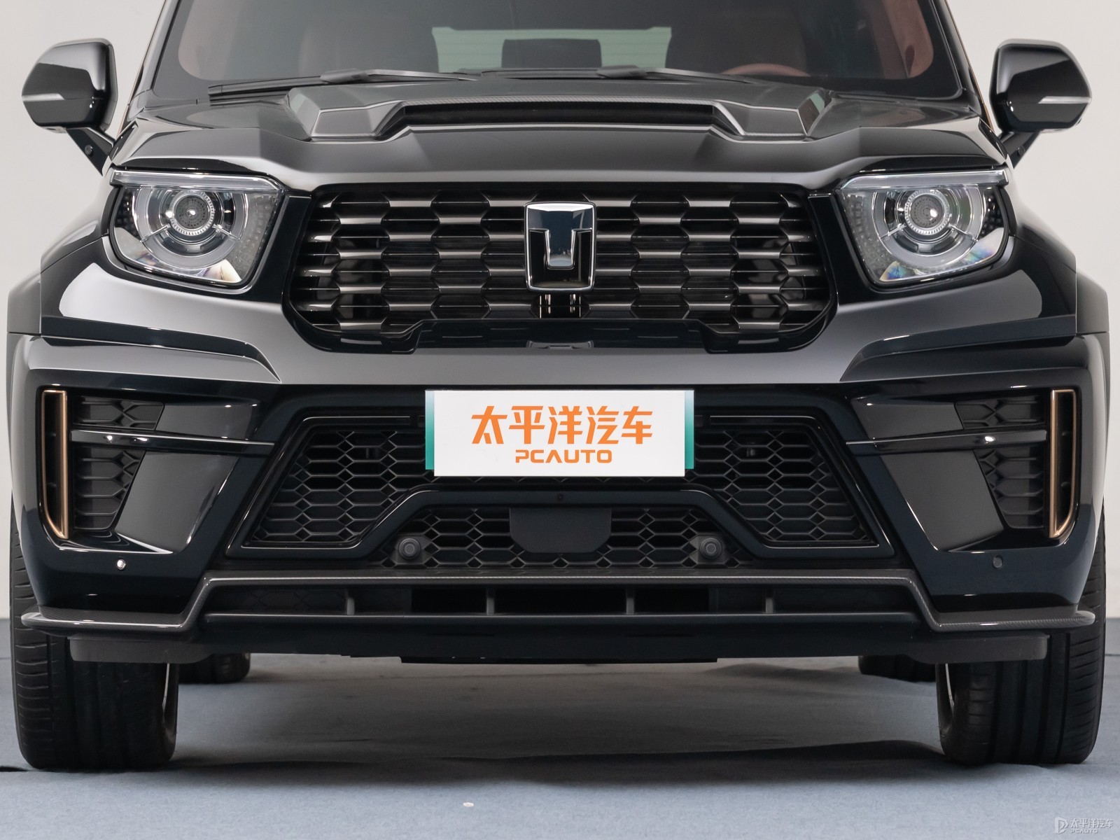 坦克700新能源外觀高清大圖