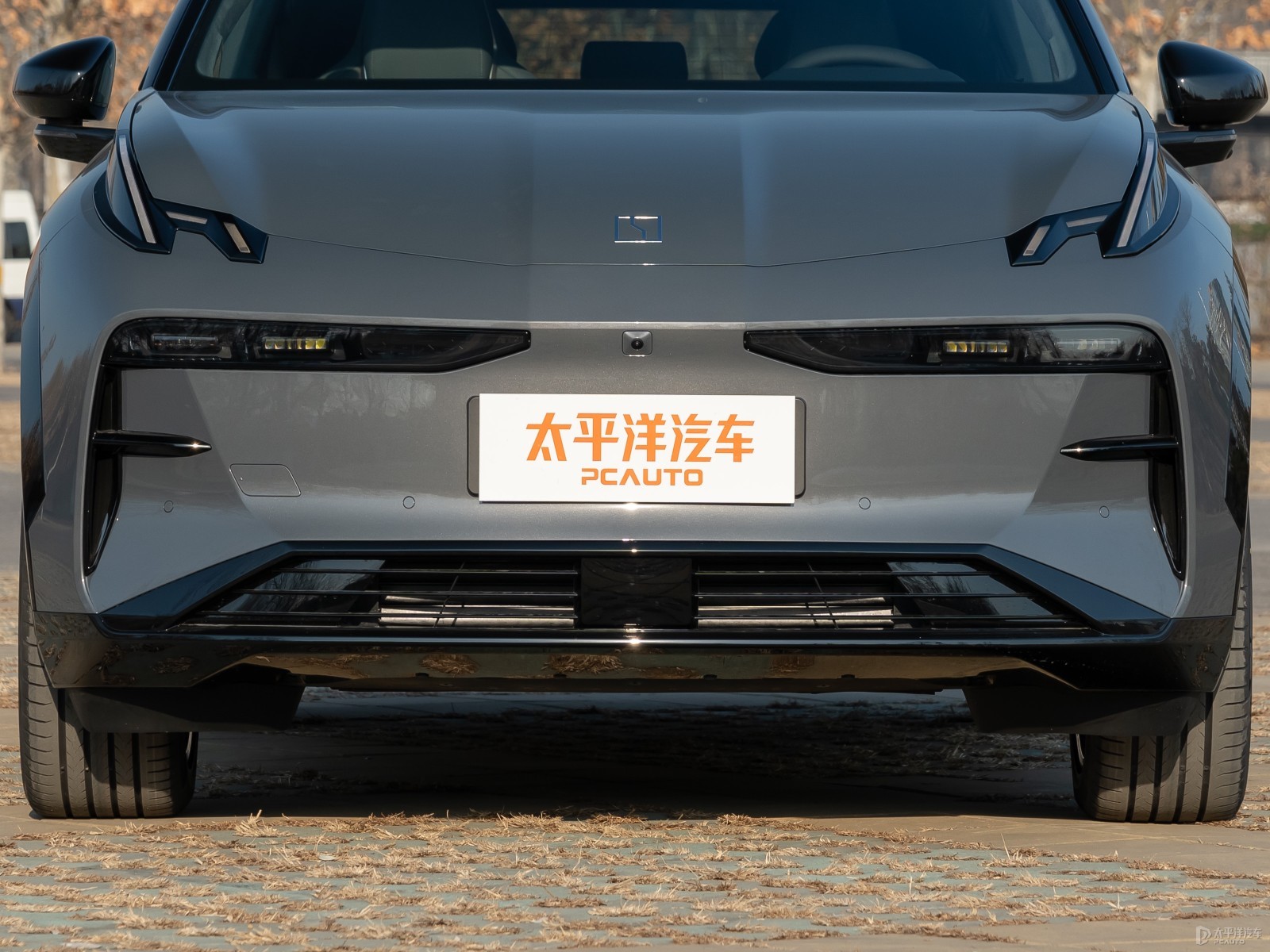 極氪X外觀高清大圖