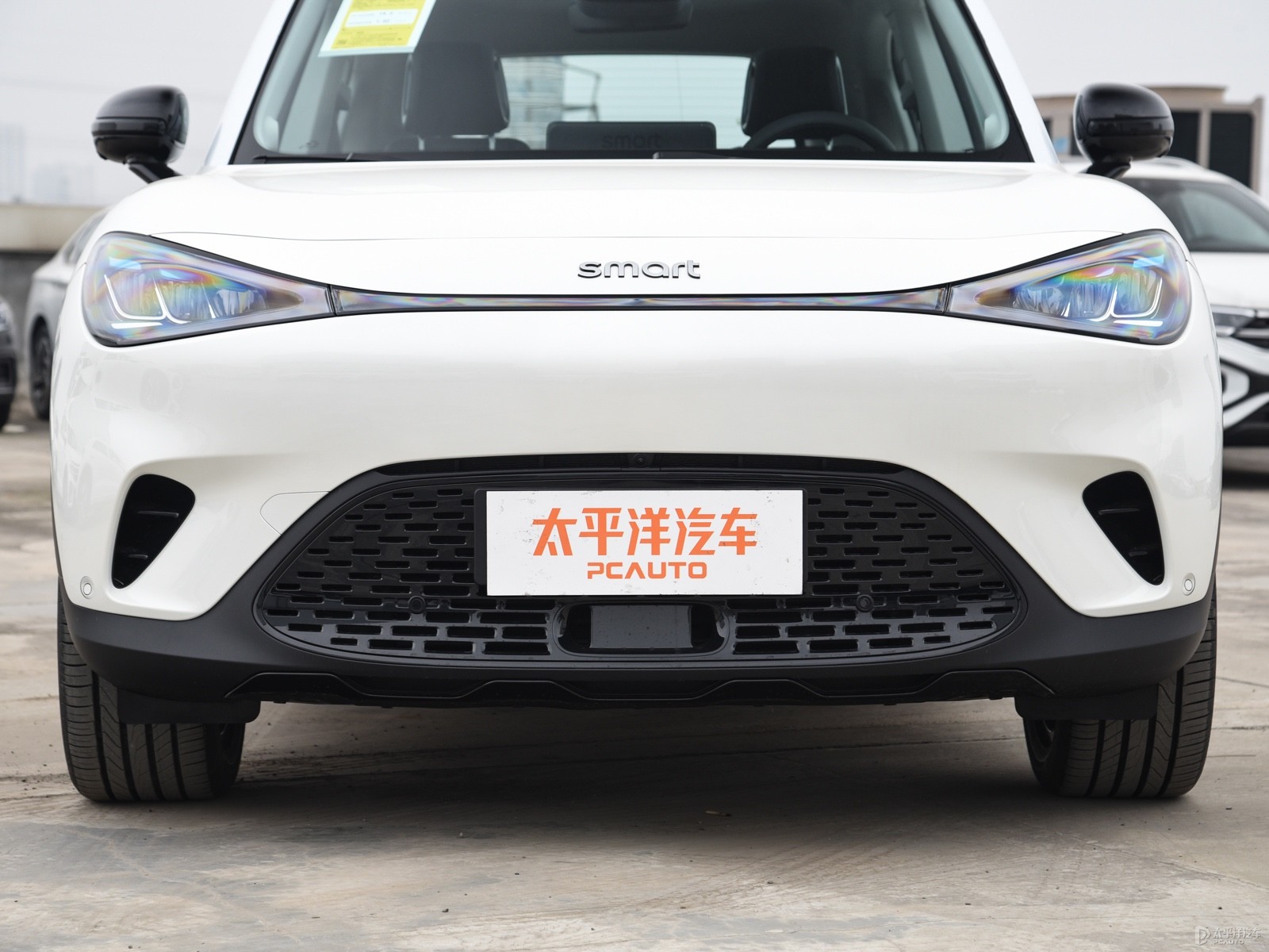 smart精靈#1外觀高清大圖
