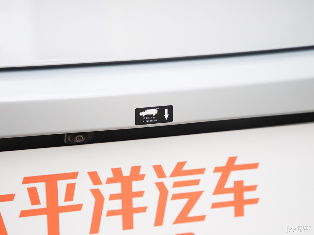 銀釉白唐新能源車尾外觀圖片